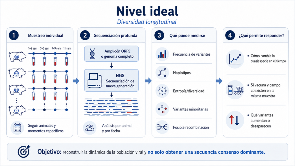 diversidad cuasiespecies prrsv