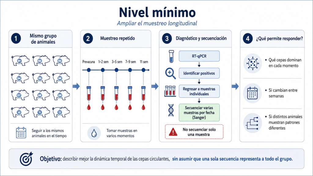 seguimiento longitudinal prrsv